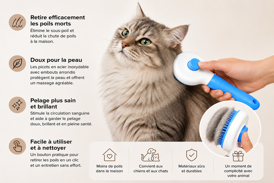 Brosse Autonettoyante