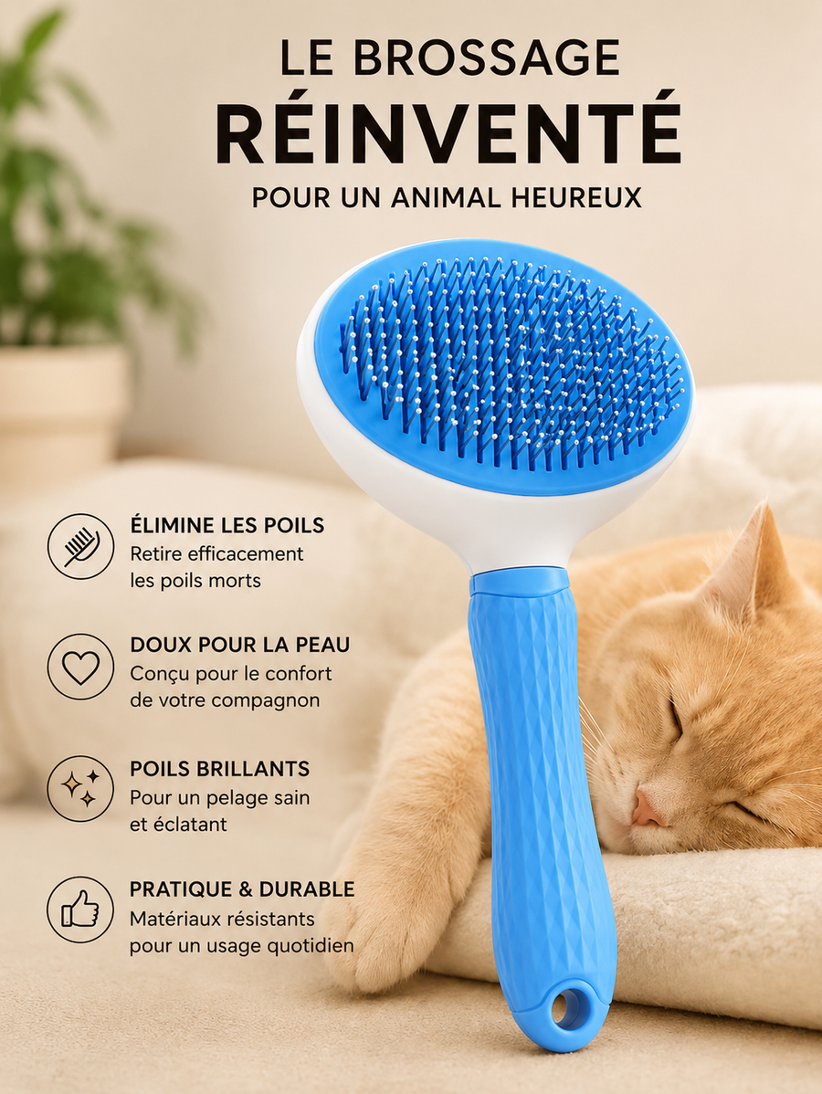 Brosse Autonettoyante
