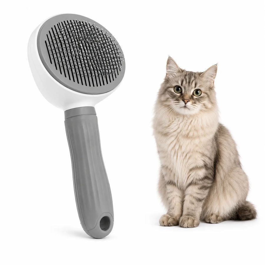 Brosse Autonettoyante