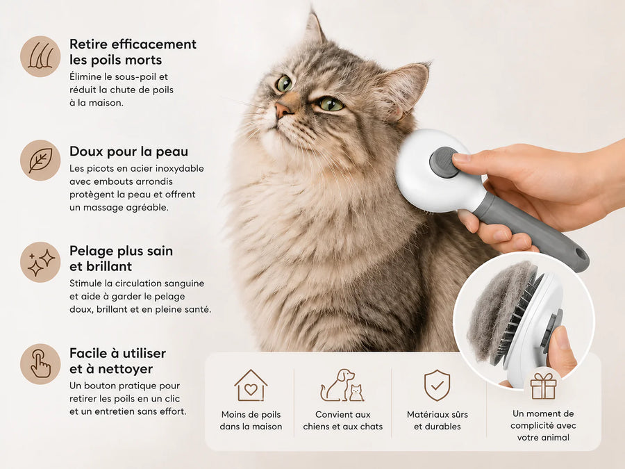 Brosse Autonettoyante
