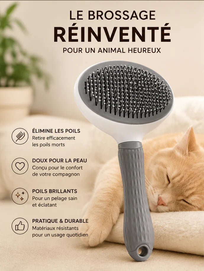 Brosse Autonettoyante