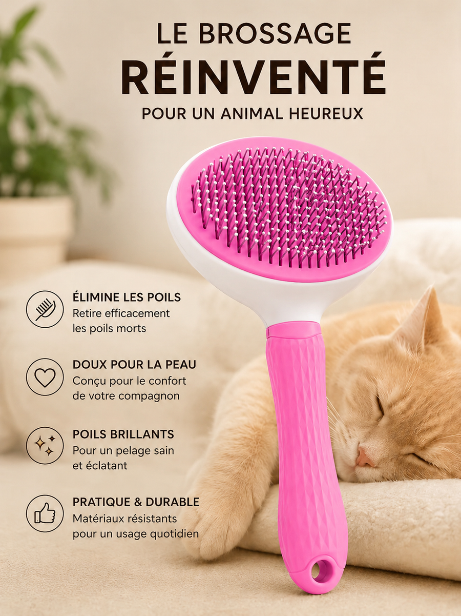 Brosse Autonettoyante