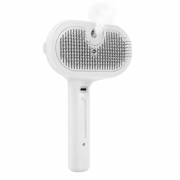 Brosse à Vapeur