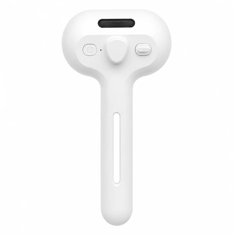 Brosse à Vapeur