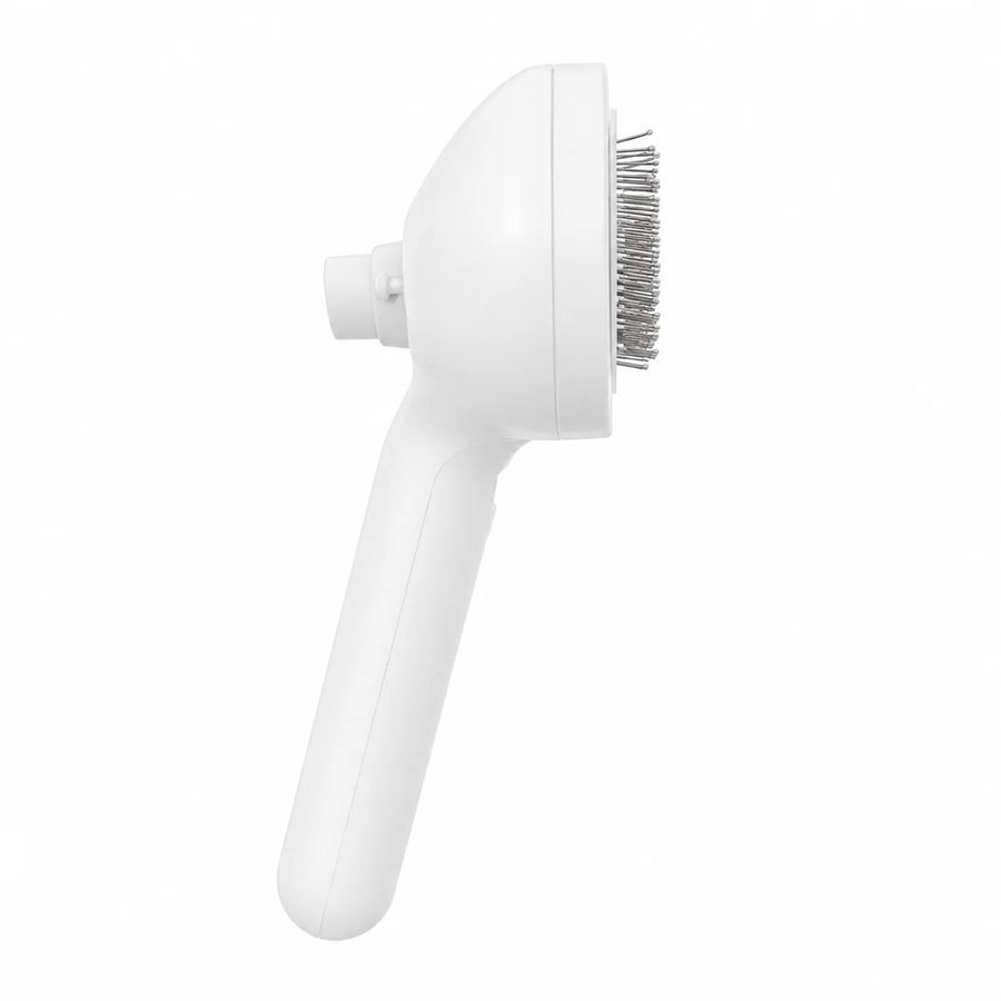Brosse à Vapeur