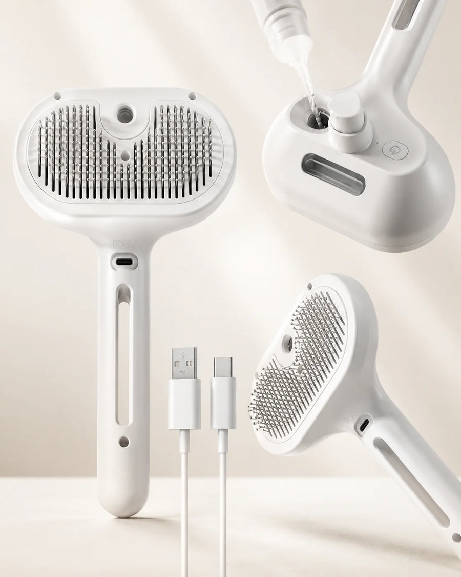 Brosse à Vapeur