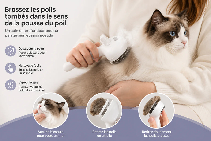Brosse à Vapeur