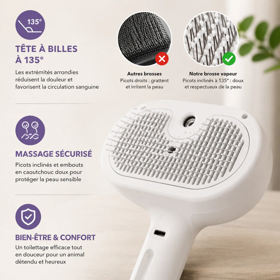 Brosse à Vapeur